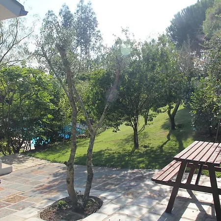 Cork Tree Holiday home