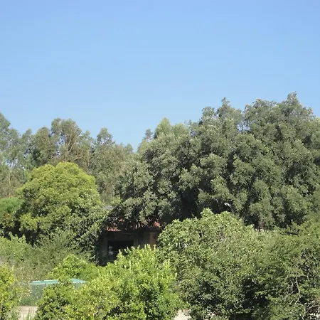 Hébergement de vacances Cork Tree *