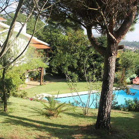 Cork Tree Holiday home