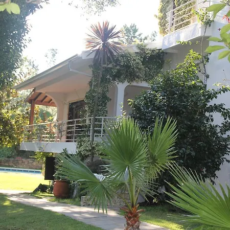 Holiday home Cork Tree