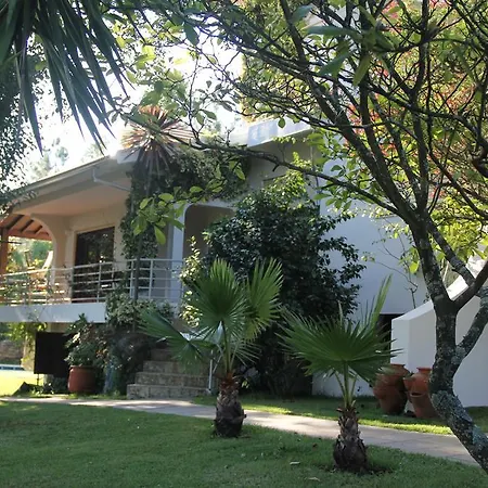 Cork Tree Casa vacanze Gondomar (Porto)
