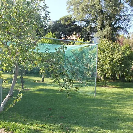 Holiday home Cork Tree Gondomar (Porto)