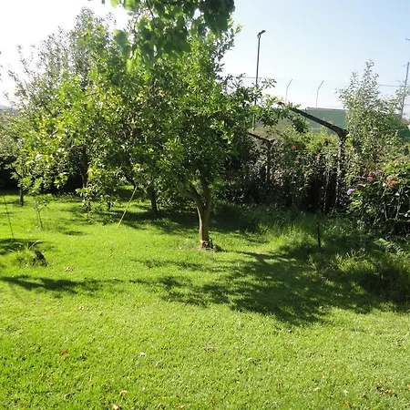 Holiday home Cork Tree